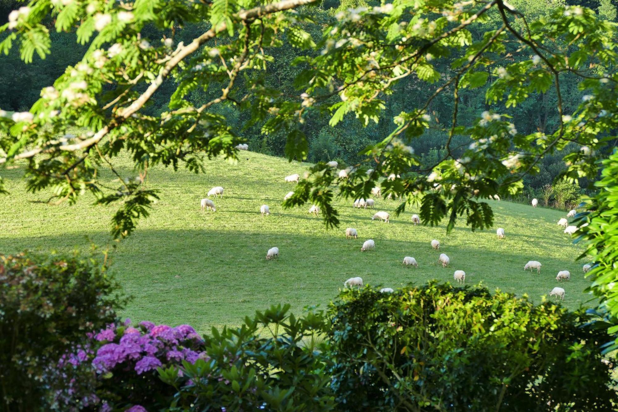 Baskoparadis I Eco-Gites I Calme I Vue I Anes I Jardin I Montagne I Nature Louhossoa Eksteriør bilde