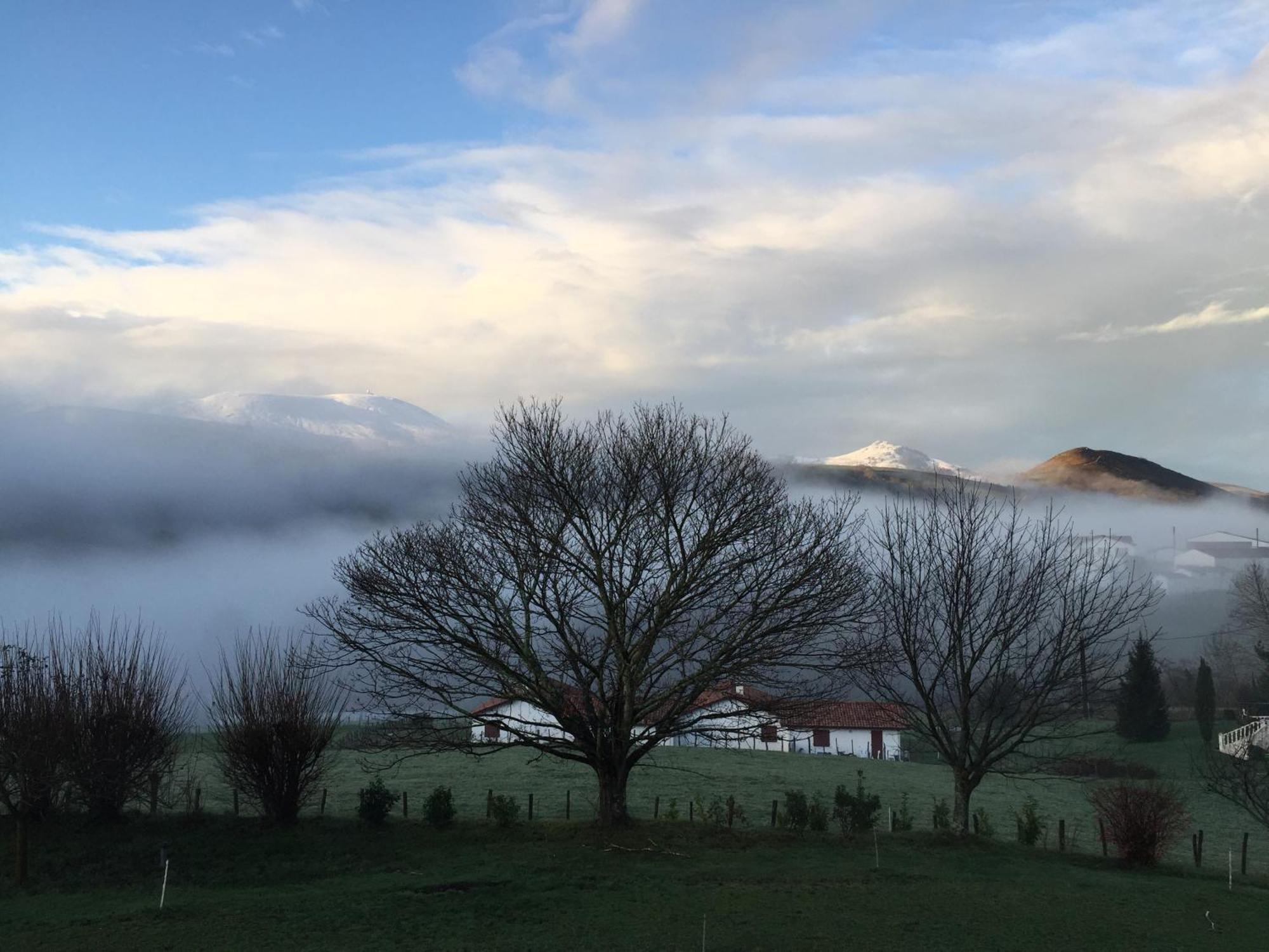 Baskoparadis I Eco-Gites I Calme I Vue I Anes I Jardin I Montagne I Nature Louhossoa Eksteriør bilde