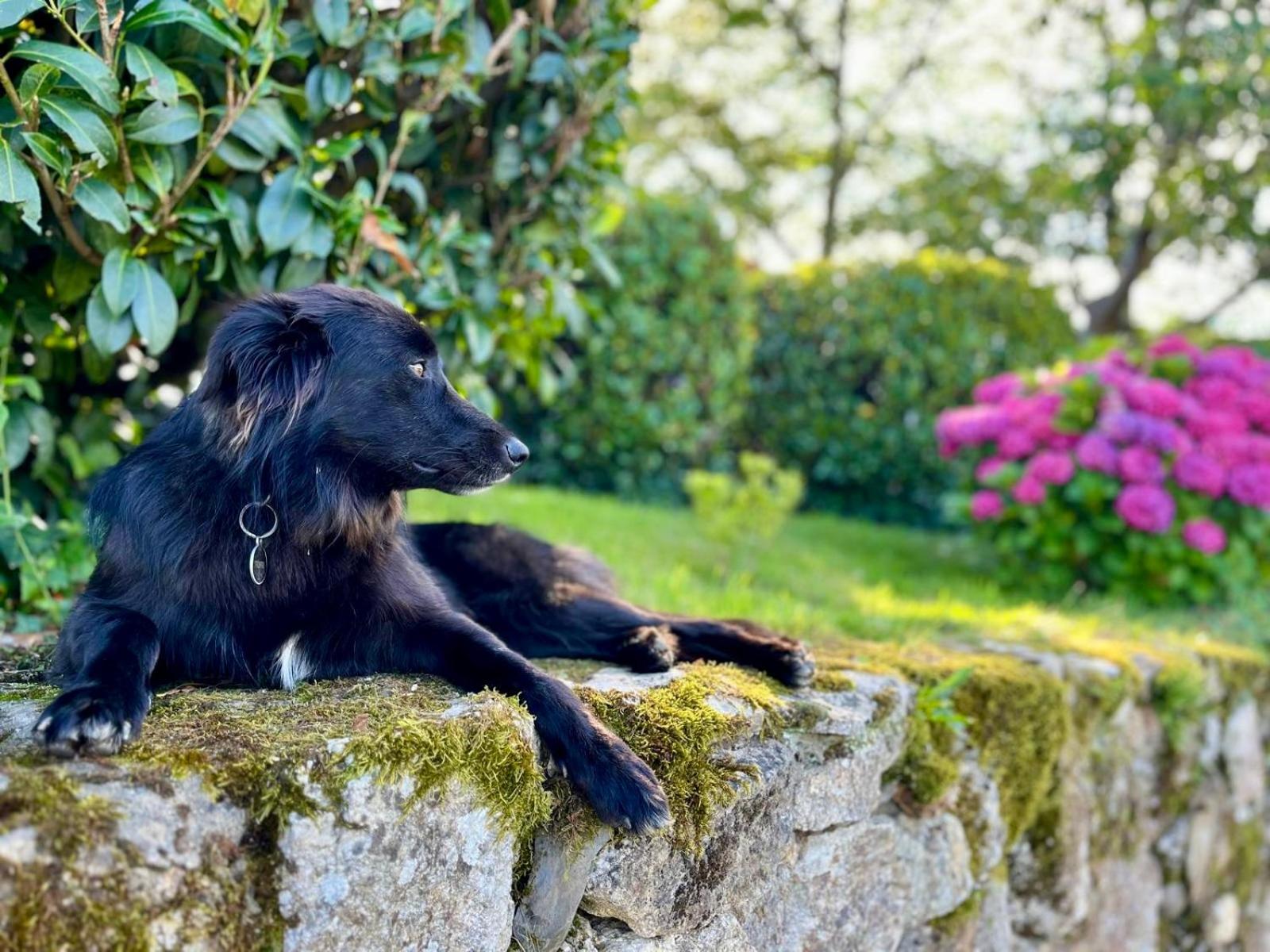 Baskoparadis I Eco-Gites I Calme I Vue I Anes I Jardin I Montagne I Nature Louhossoa Eksteriør bilde