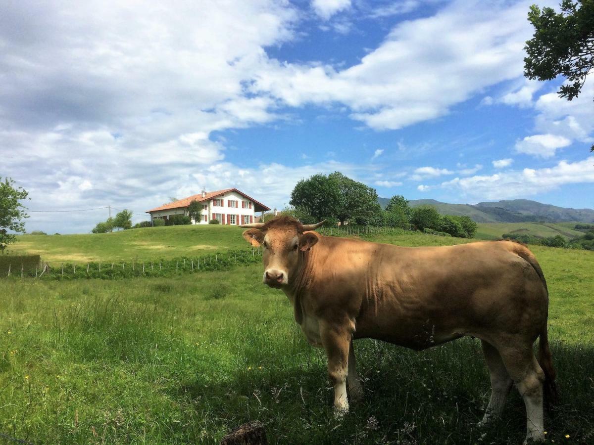 Baskoparadis I Eco-Gites I Calme I Vue I Anes I Jardin I Montagne I Nature Louhossoa Eksteriør bilde