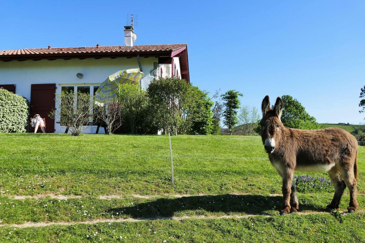 Baskoparadis I Eco-Gites I Calme I Vue I Anes I Jardin I Montagne I Nature Louhossoa Eksteriør bilde