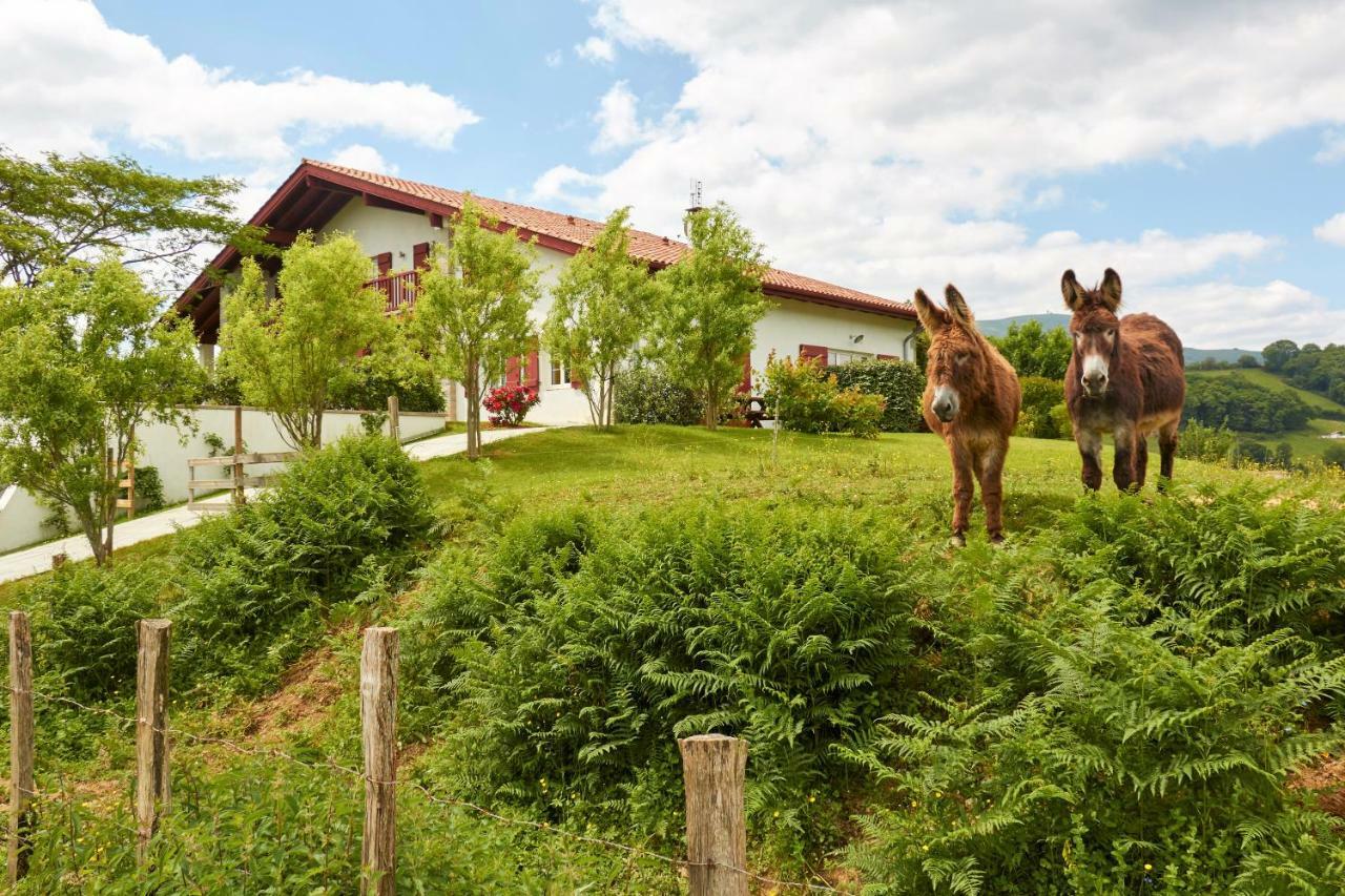 Baskoparadis I Eco-Gites I Calme I Vue I Anes I Jardin I Montagne I Nature Louhossoa Eksteriør bilde