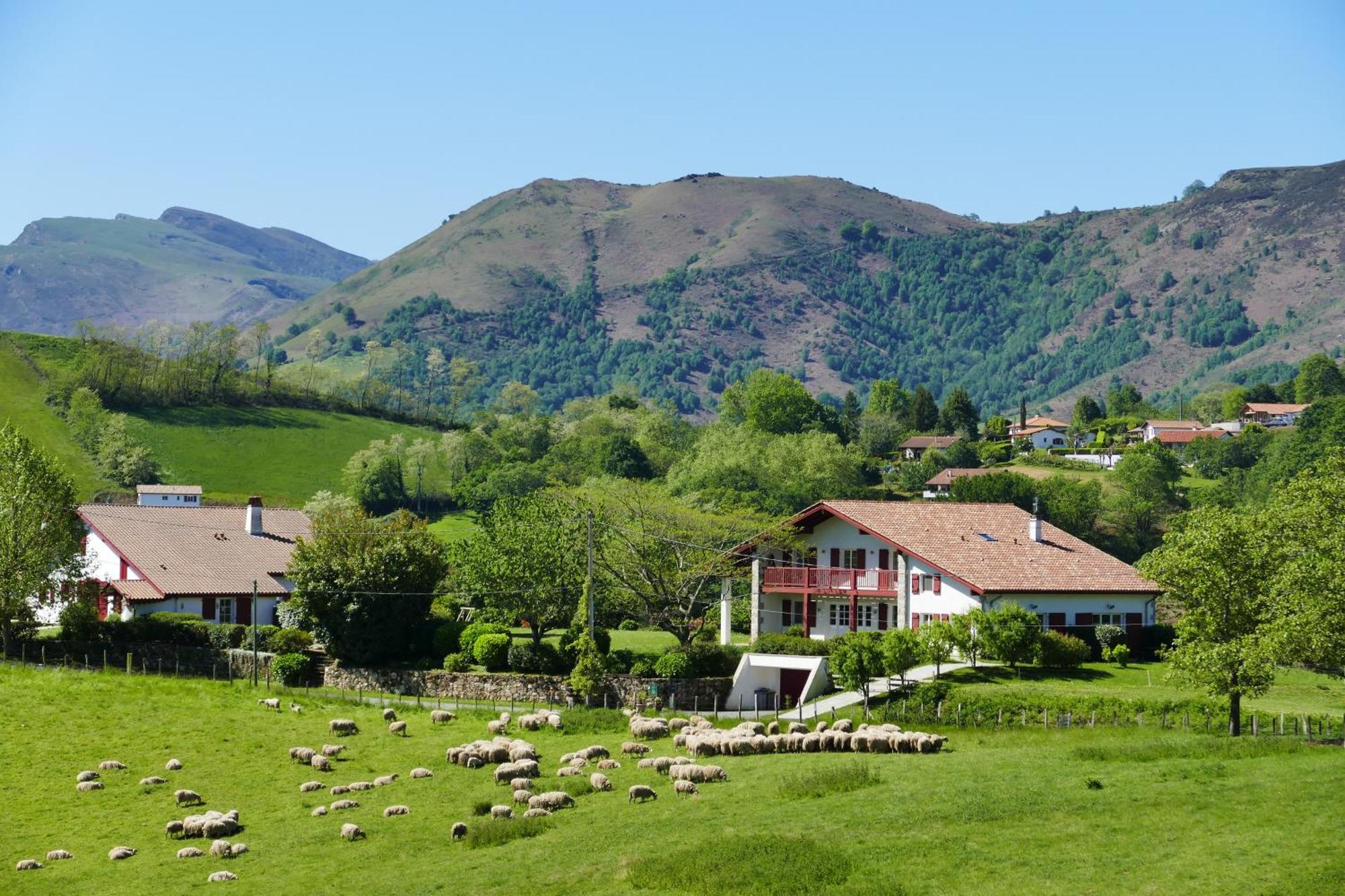 Baskoparadis I Eco-Gites I Calme I Vue I Anes I Jardin I Montagne I Nature Louhossoa Eksteriør bilde
